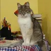 Отзыв от Алина Кириллова